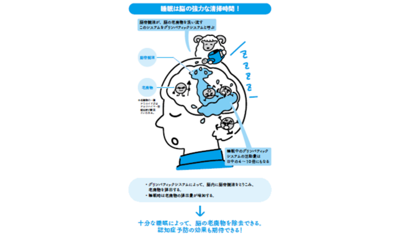睡眠中に脳を洗うグリンパティックシステムの真相と認知症予防法