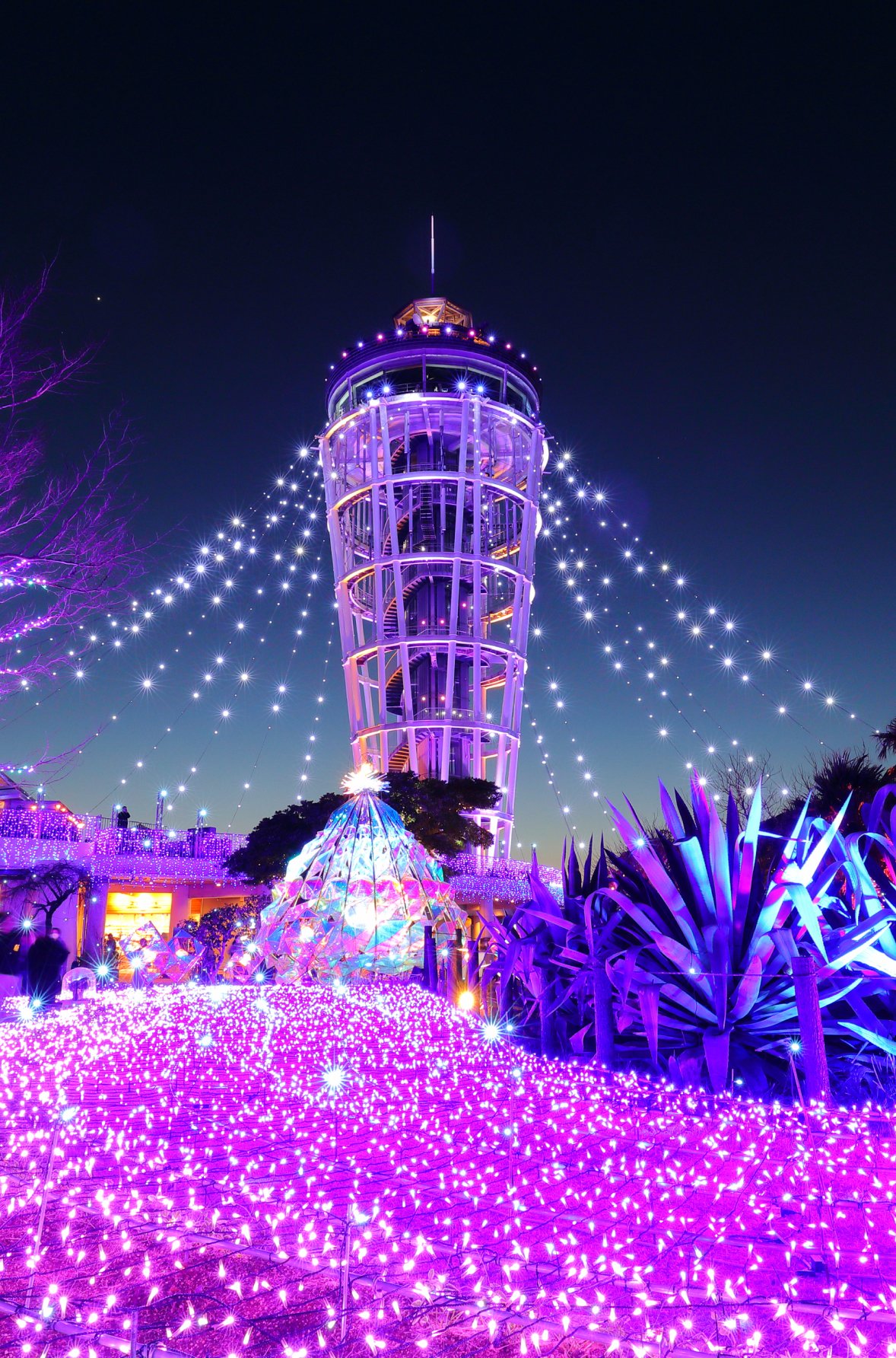 江ノ島クリスマス2026！湘南の宝石の点灯時間と混雑回避＆絶景ディナー