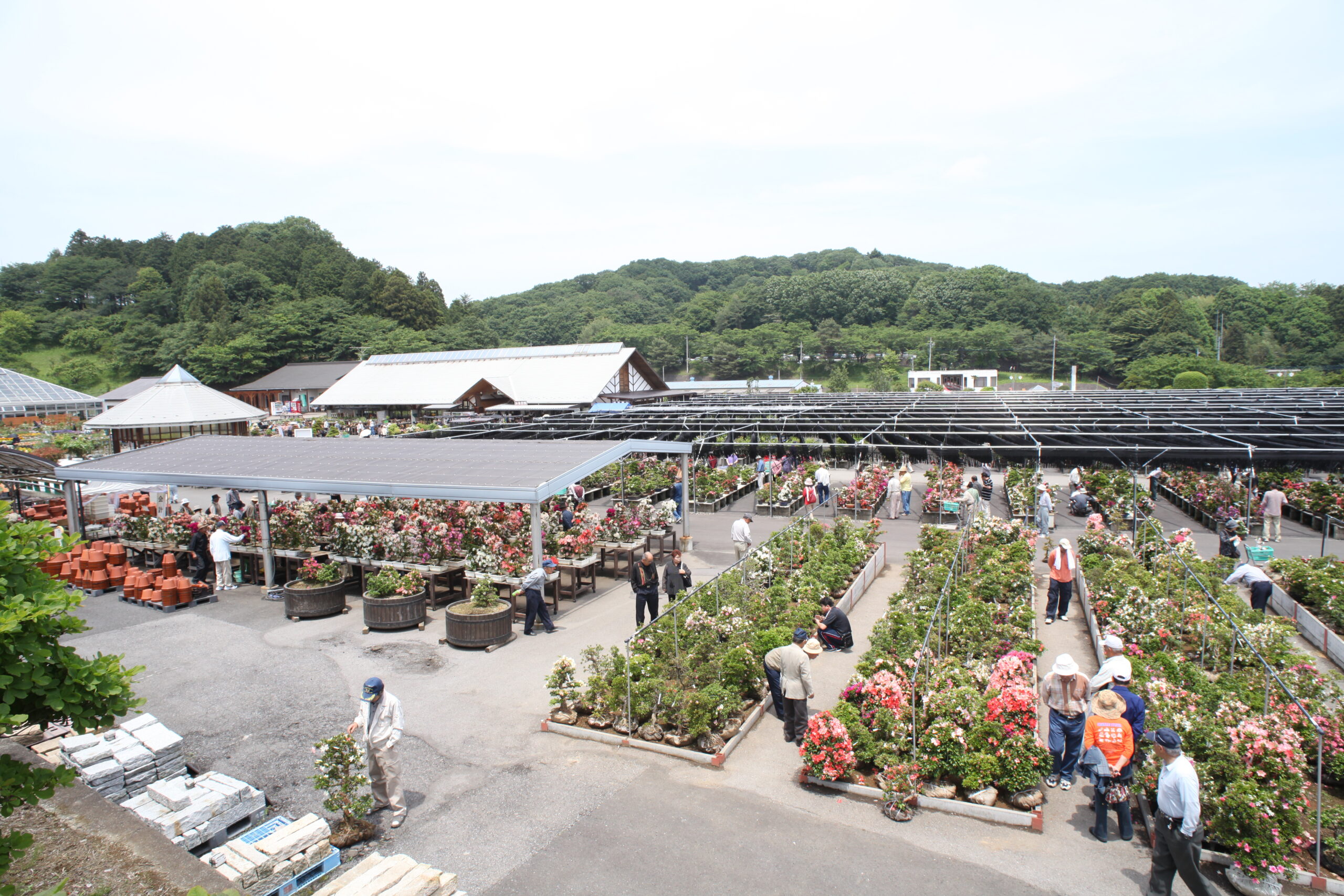 宇都宮お土産決定版2026！餃子以外や日持ちスイーツ・職場向け銘菓