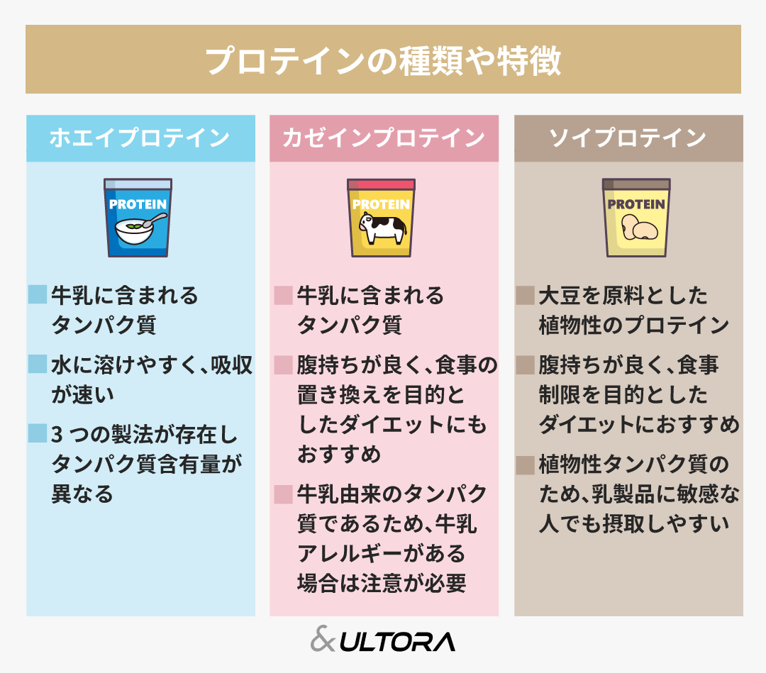 ホエイとソイプロテインの決定的な違い！効果と選び方の真相を検証