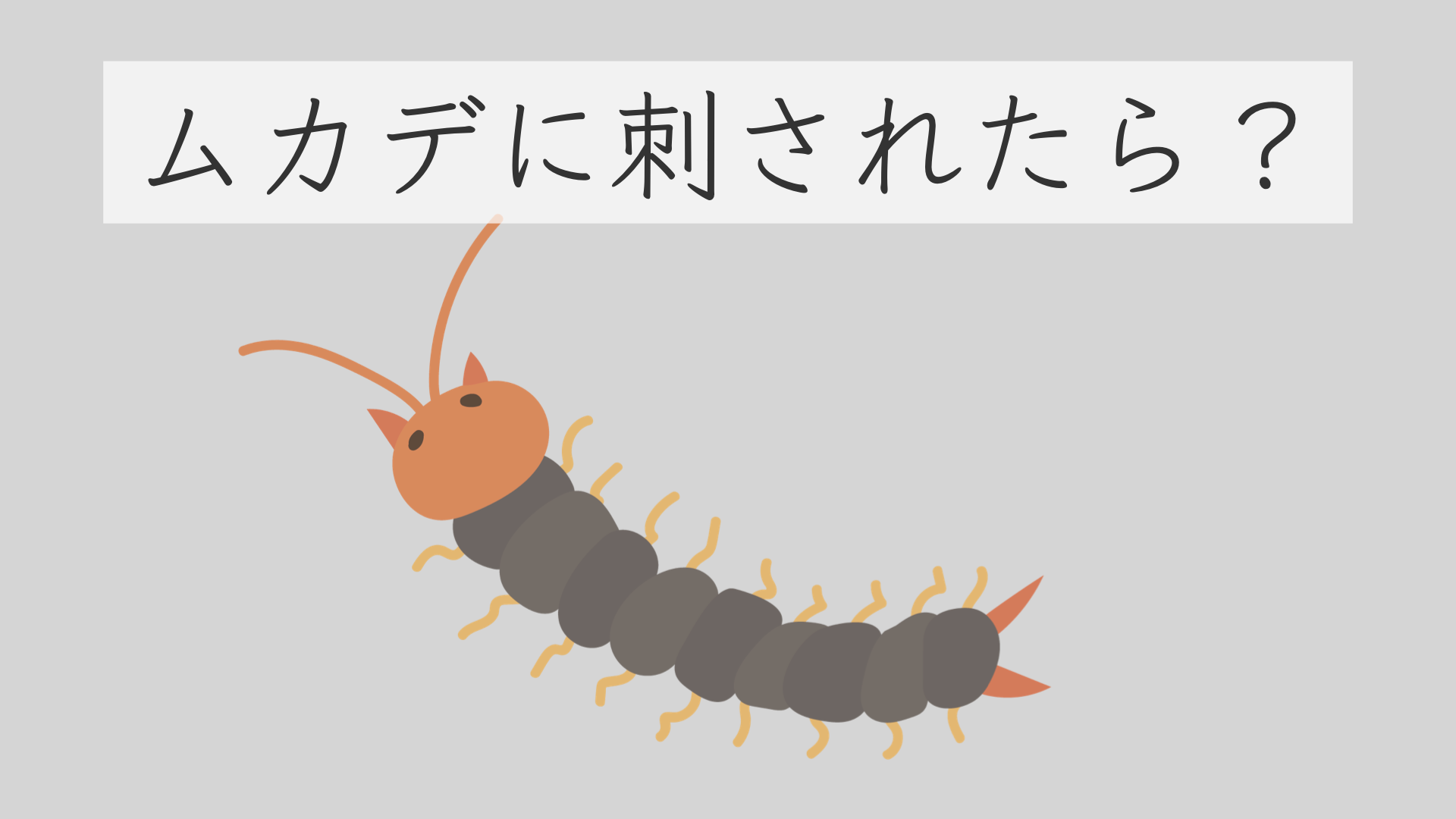 ムカデに刺されたら冷やすな？激痛を鎮める応急処置と市販薬の選び方
