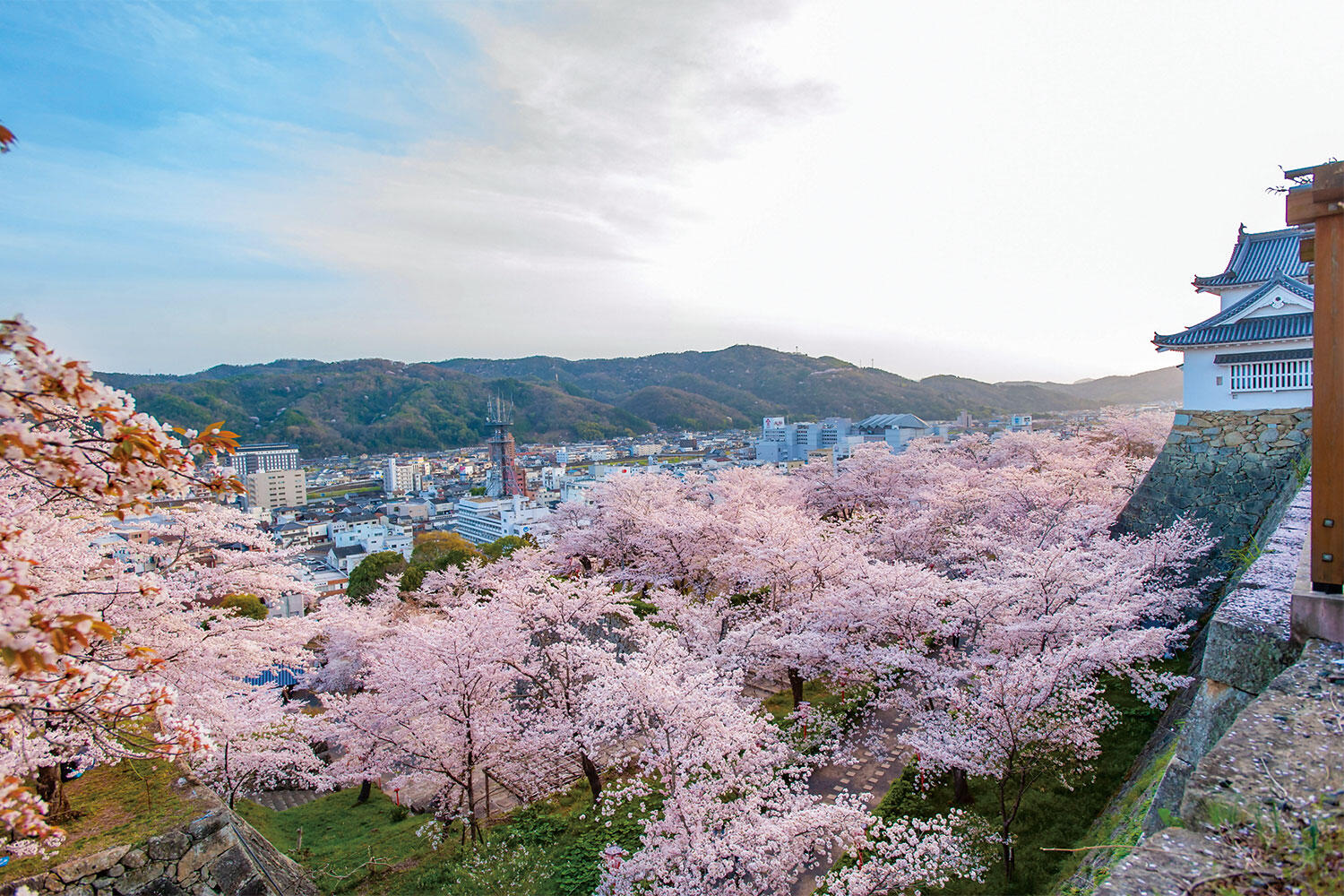 岡山県津山市が今アツい！観光・移住・グルメの魅力を完全解説