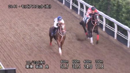 【熱愛】 スワン ステークス 追い 切り 2026年最新プロフィール #703