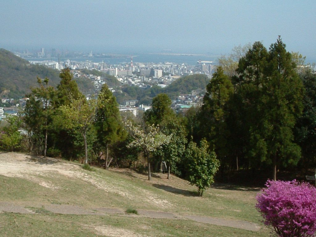 ひよどりごえ森林公園の真実｜噂の真相と駐車場・絶景ルート全貌
