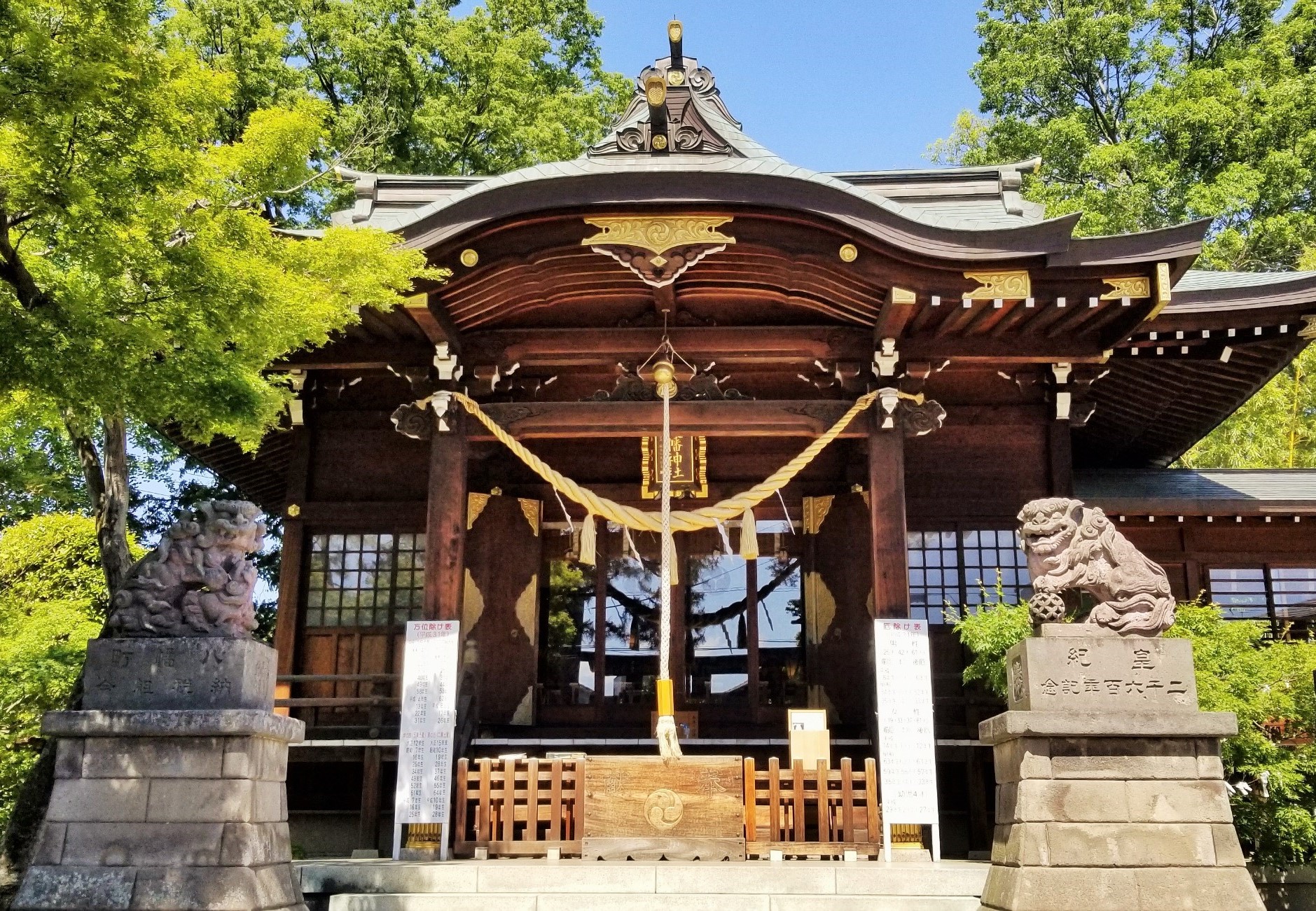 行田八幡神社で何が起きたのか？癌封じの噂と花手水ブームの真相
