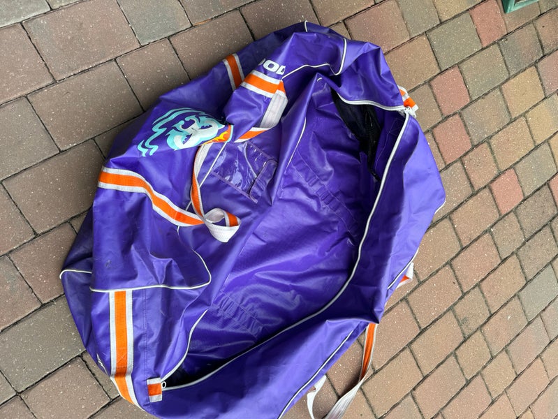 Solar Bears Bag Policy