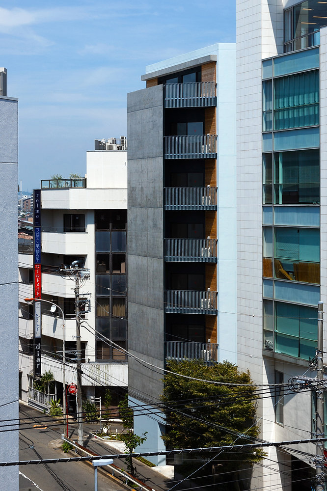湘南の奥座敷が魅せる静かな熱狂――藤沢駅南口「鵠沼 橘」が2026年に選び取った、消費されない街の日常