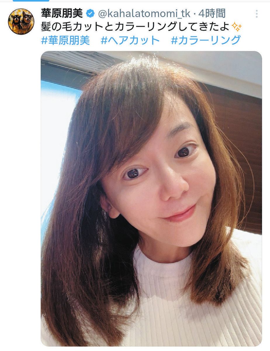 華原朋美の現在写真に反響続々！激痩せ真相と注目のテレビ出演情報