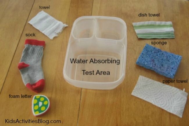 Paper Towel Absorbs Water Chemical or Physical
