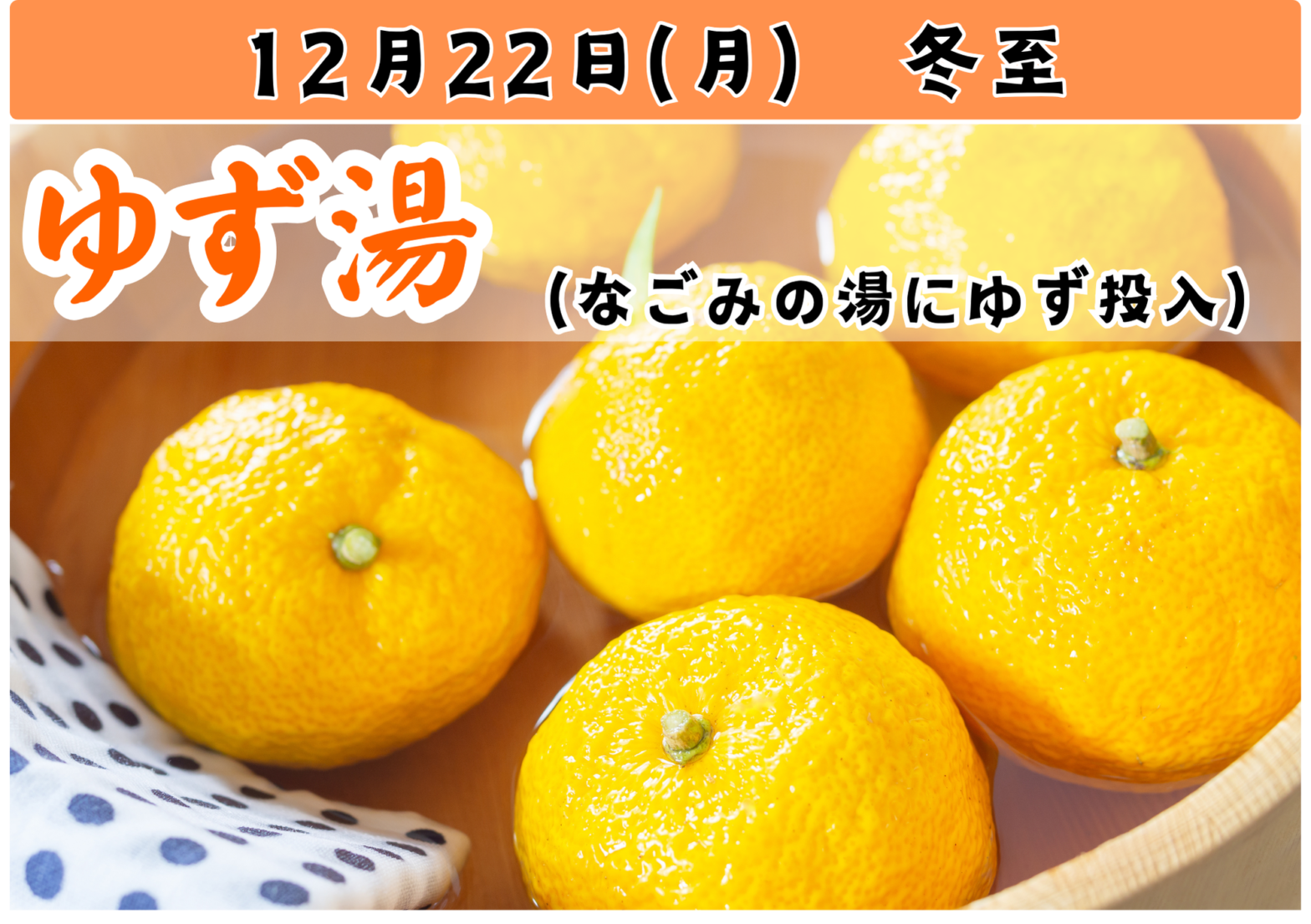 【話題】 湯 めぐり の 宿 桂川 徹底解説＆真相まとめ #958