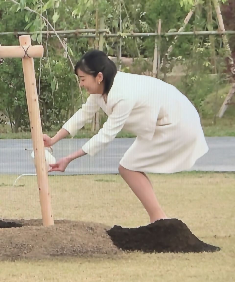 佳子さま巡る過激ワードの真実 宮内庁が直面する情報戦の内幕
