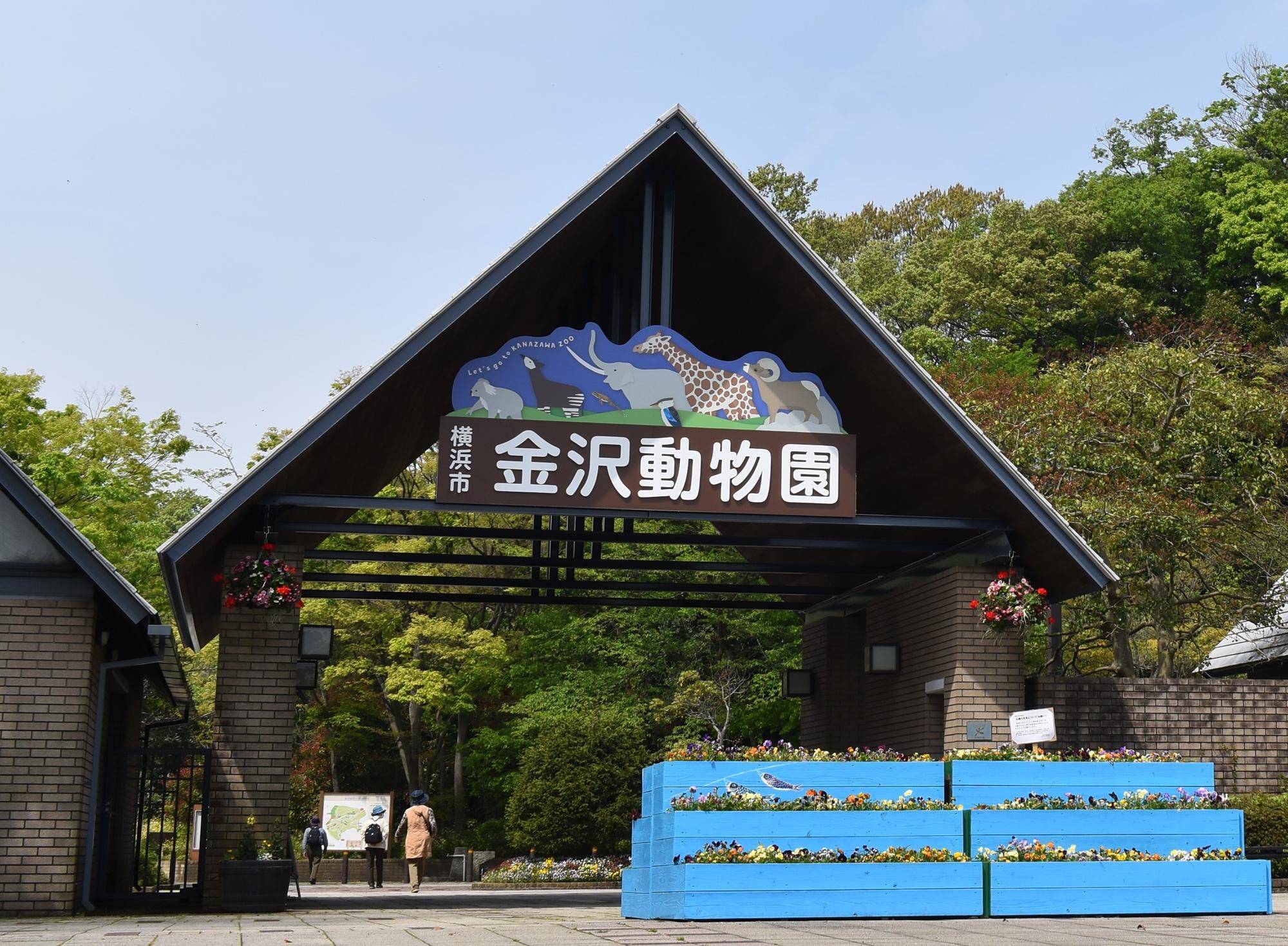 横浜・金沢自然公園の真価を徹底解剖！混雑回避と穴場攻略の決定版