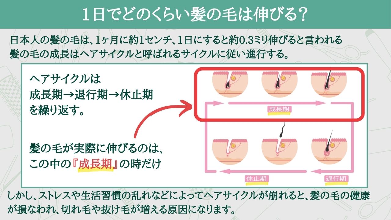 キャベツとじゃがいも食卓革命！プロ直伝の時短技と隠し味で絶品おかず