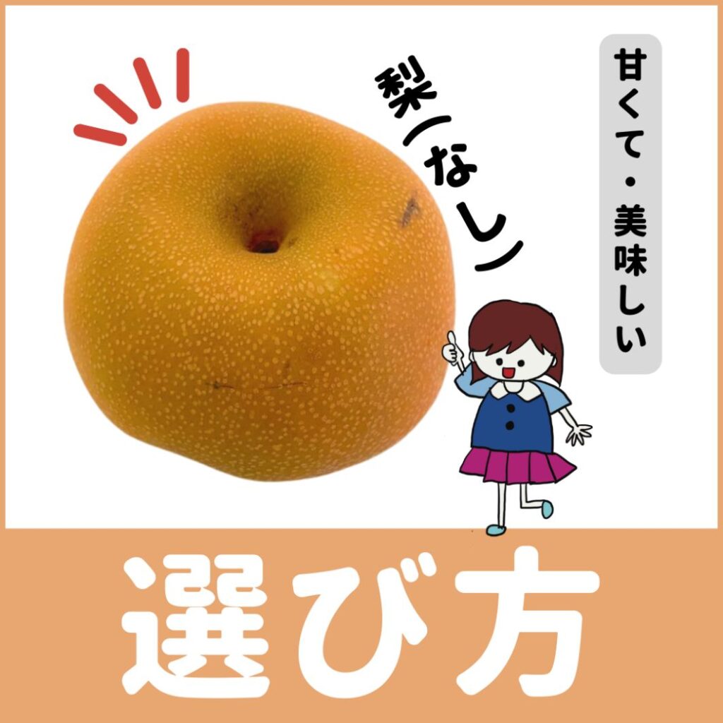 美味しい梨の見分け方をプロが直伝！甘い果実を選ぶ5大鉄則