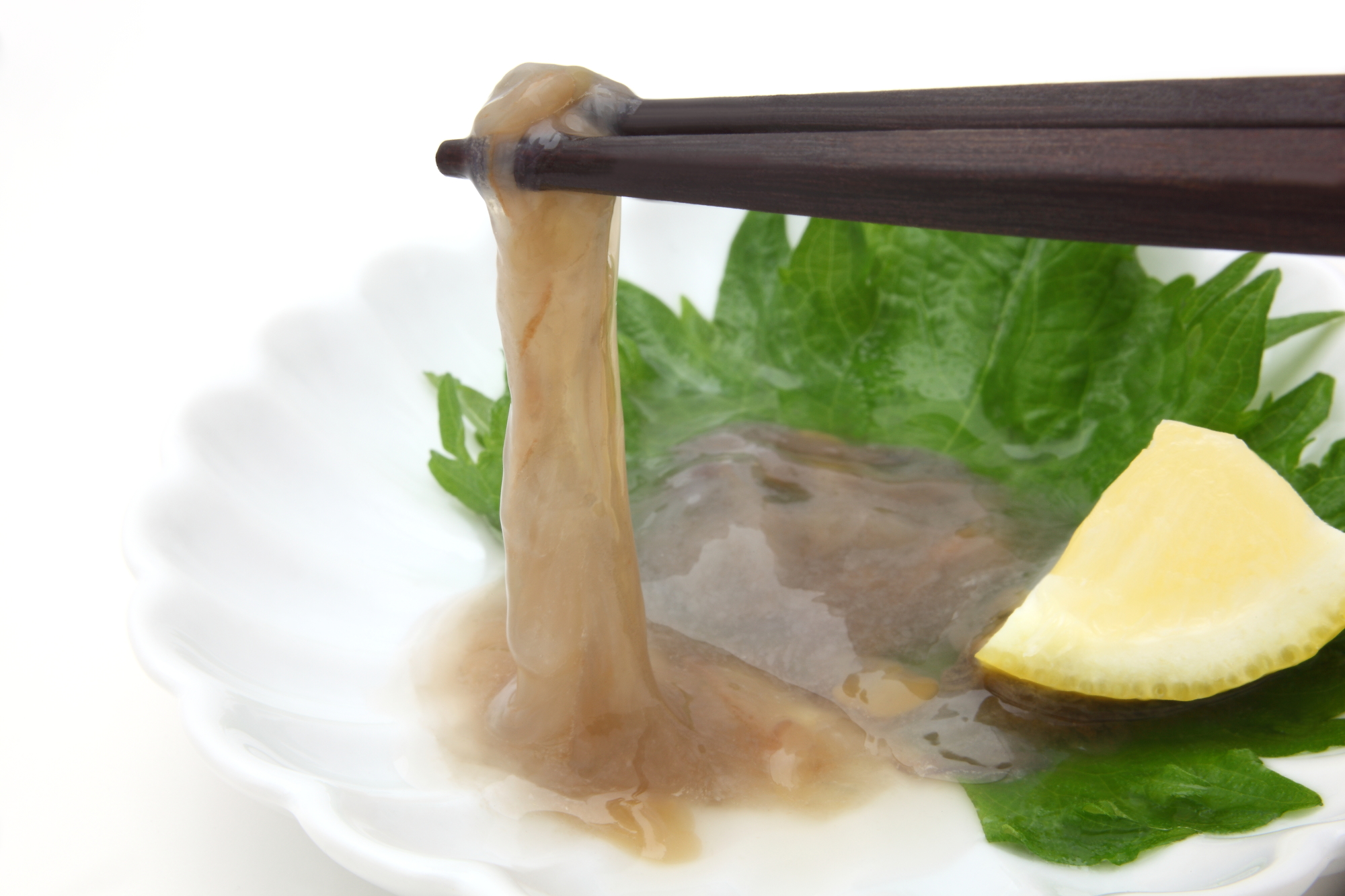 日本三大珍味「このわた」とは？ナマコの腸が放つ濃厚な旨味の正体