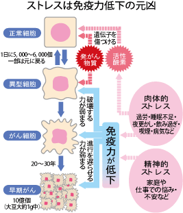 「以前」はその日を含む？契約やビジネス期日で揉めない鉄則ガイド