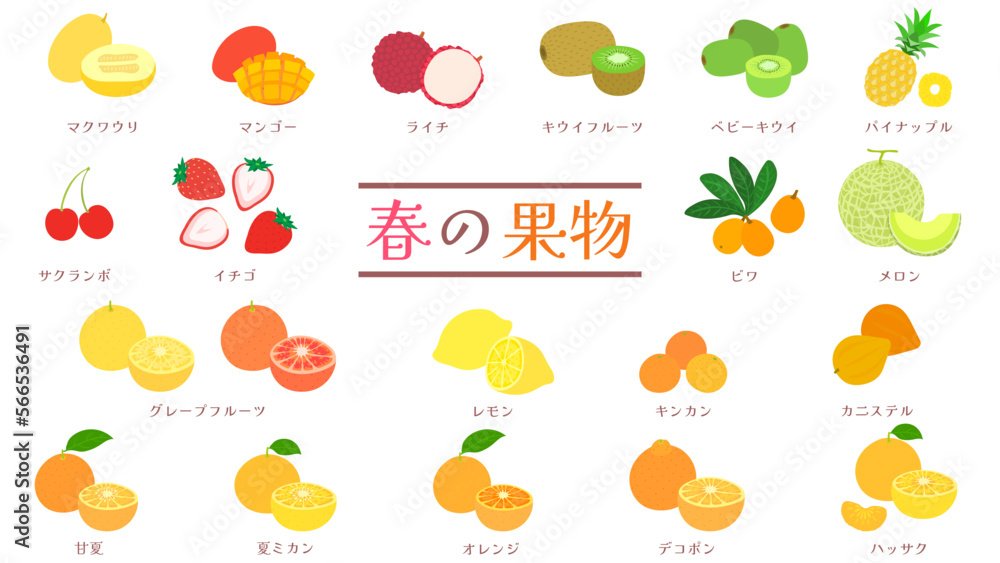 行列が途切れない果実店の秘密！極上パフェと独占仕入れの全貌