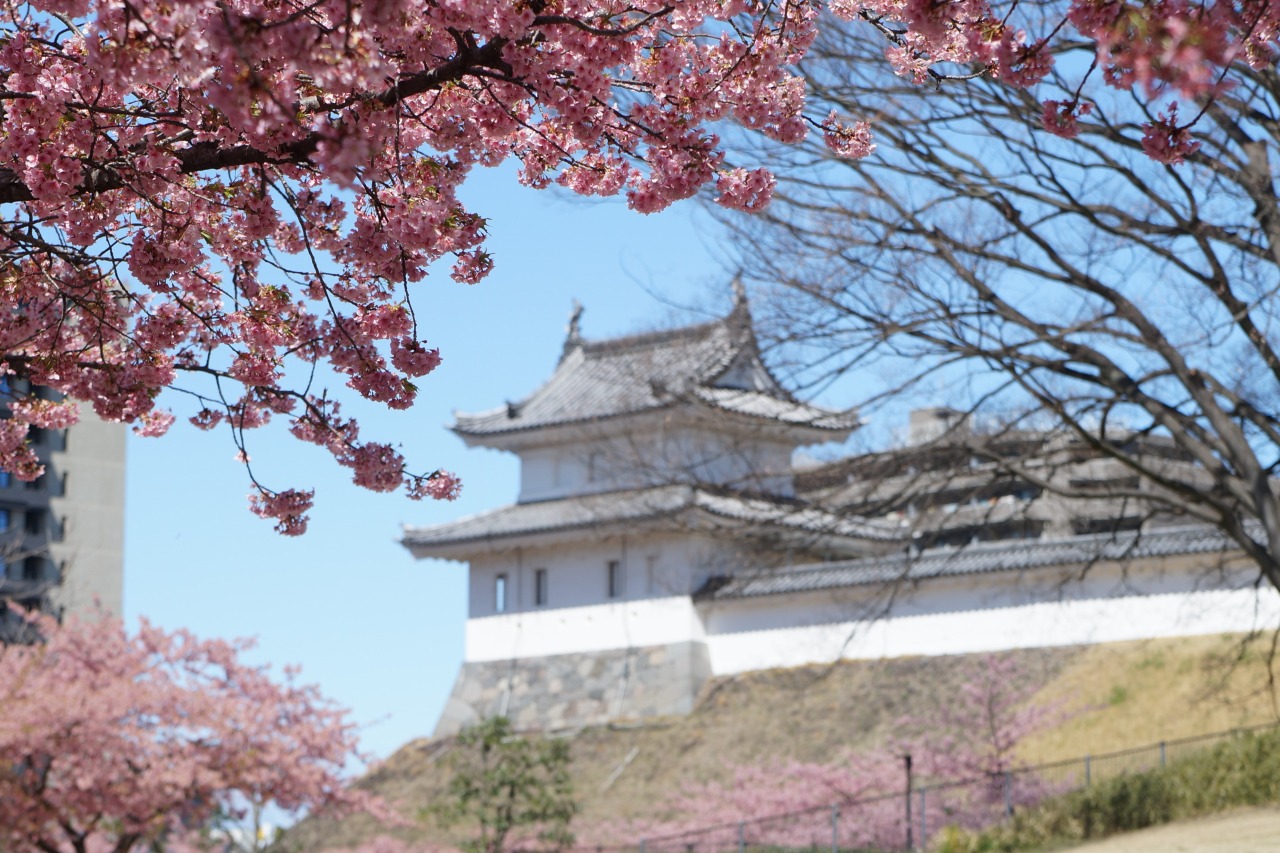 よみがえる関東七名城の誇り！宇都宮城址公園と早咲き桜の歩き方
