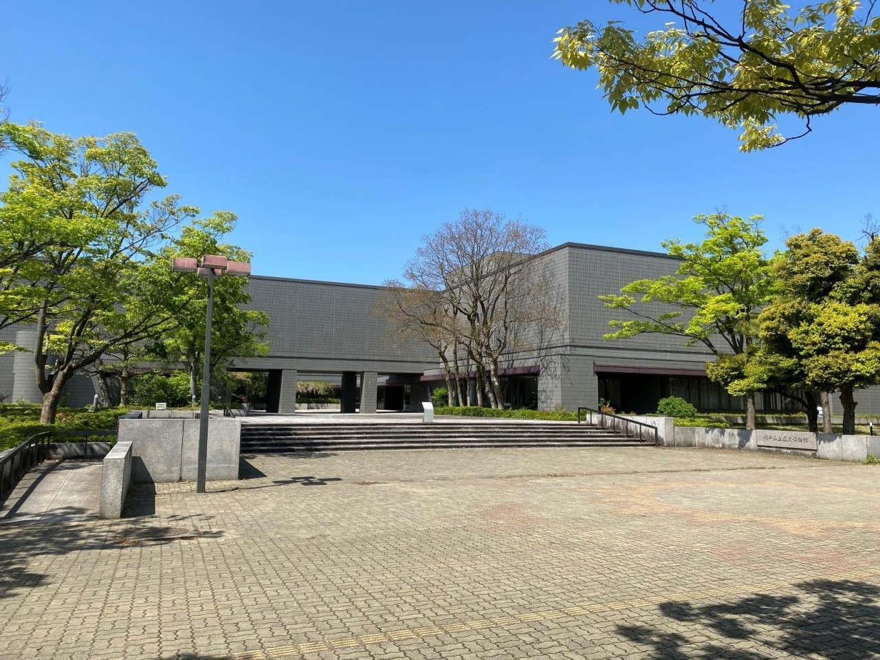 福井県立歴史博物館の昭和レトロ展示が大人気な理由と2026年最新見どころ完全まとめ
