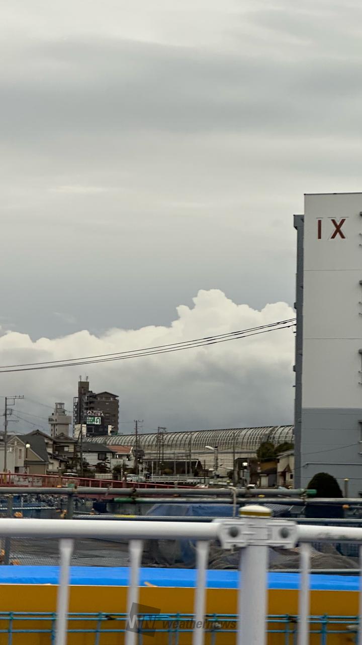 ウェザーニュース船橋の的中率は？雨雲レーダーと1時間予報の真相