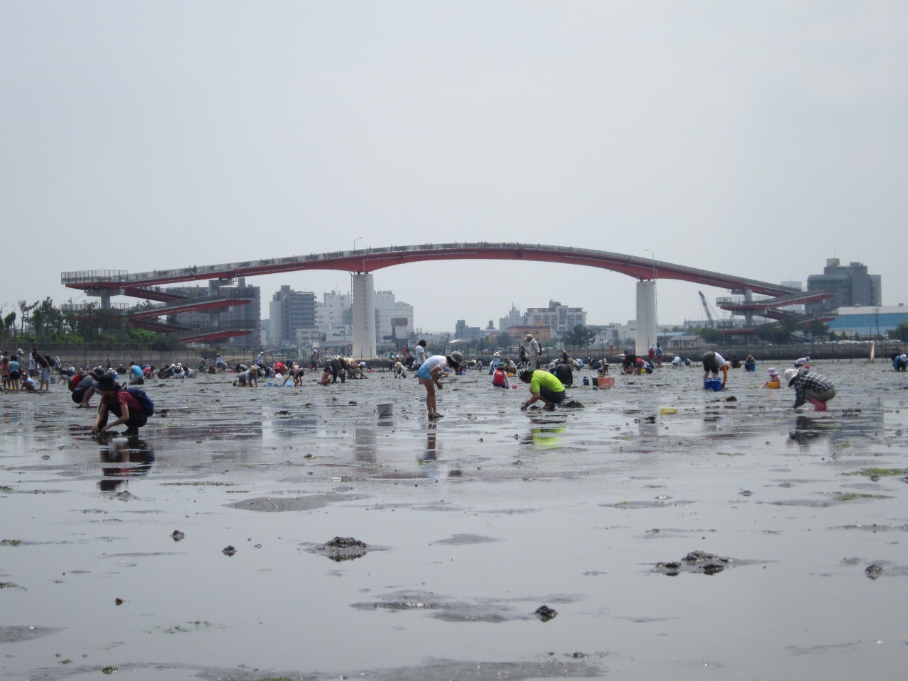 海の電柱と潮干狩り！木更津海岸の絶景穴場＆混雑回避テク徹底解説