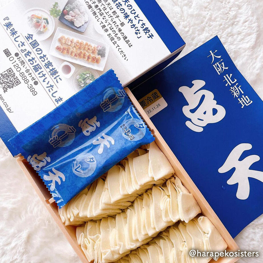 大阪名物「点天の餃子」の真実！評判の裏とプロ直伝の焼き方・保存術