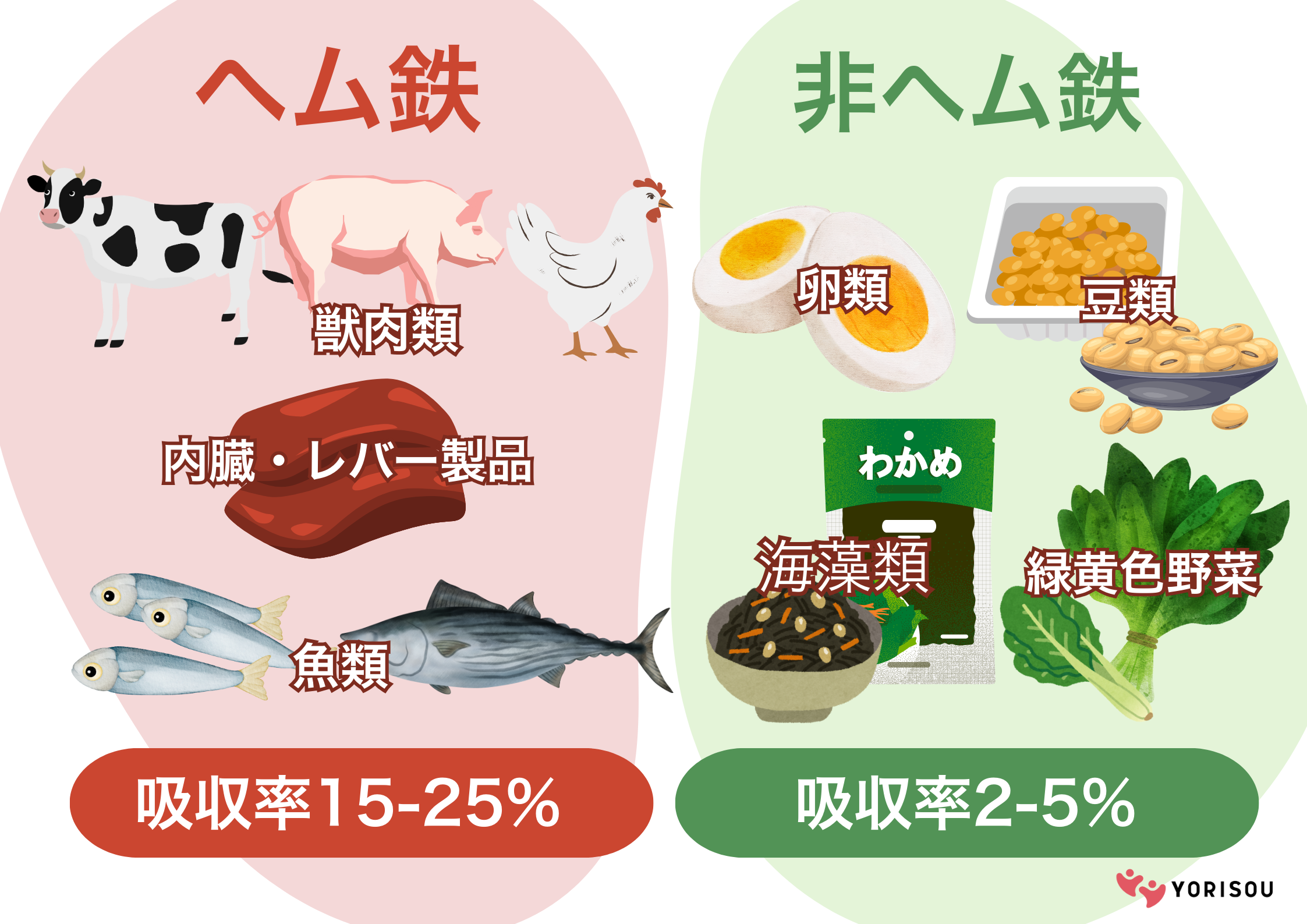 レバー嫌いも克服！鉄分が多い食材と吸収率を高める最新食事術