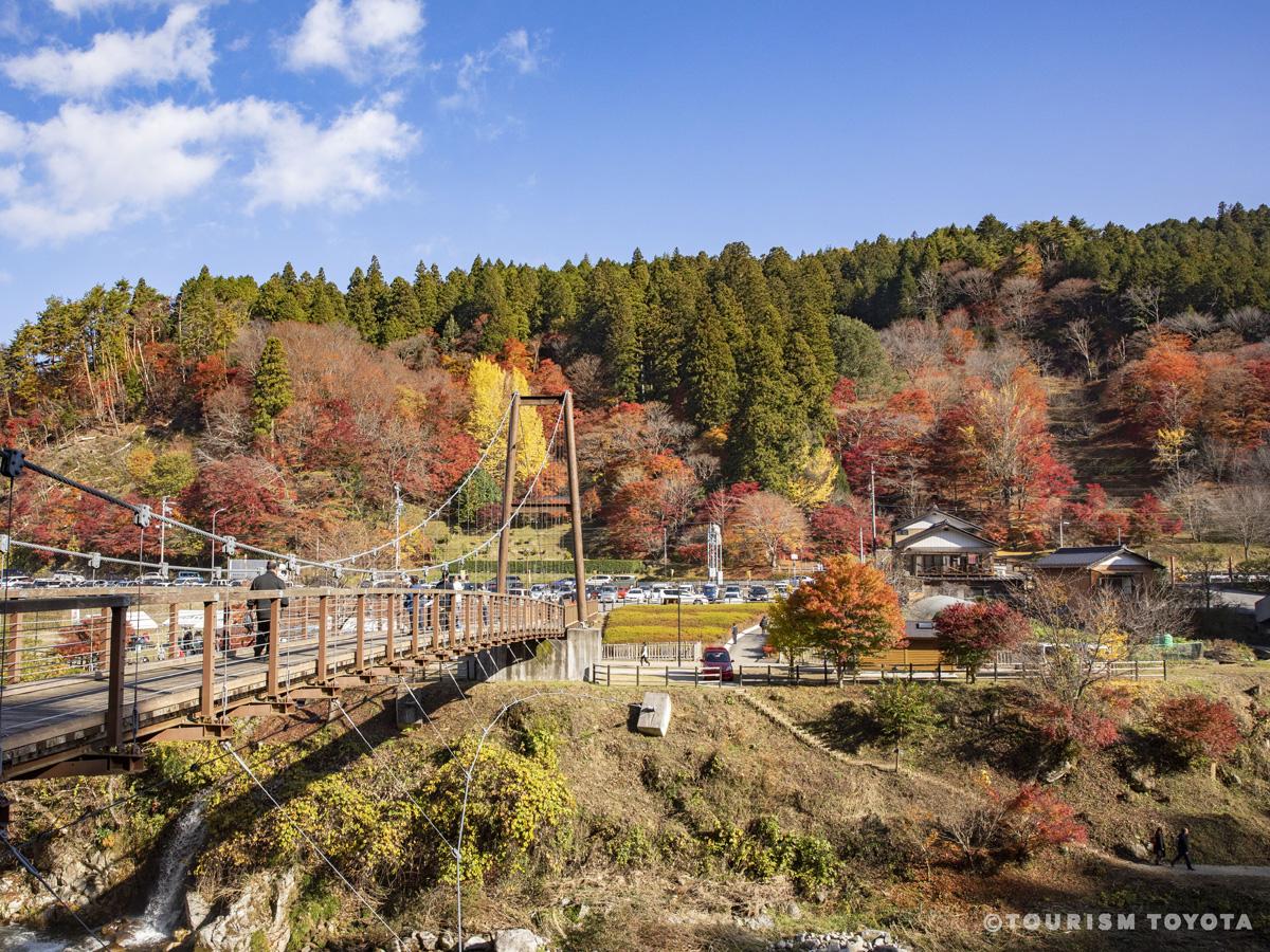 大井平公園の紅葉2026見頃と混雑回避！ライトアップや駐車場完全攻略