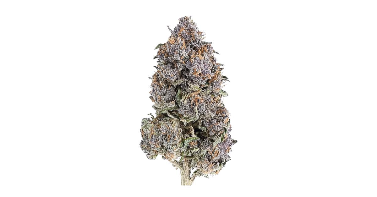 White Cherry Candy Strain