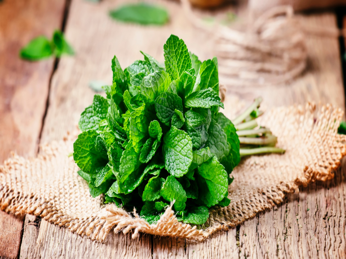Can You Eat Raw Mint Leaves