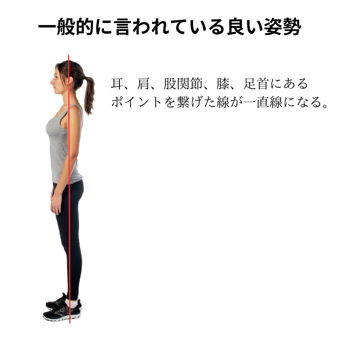 「姿勢がいい人」の共通点とは？最新解剖学が明かす若返りの秘密