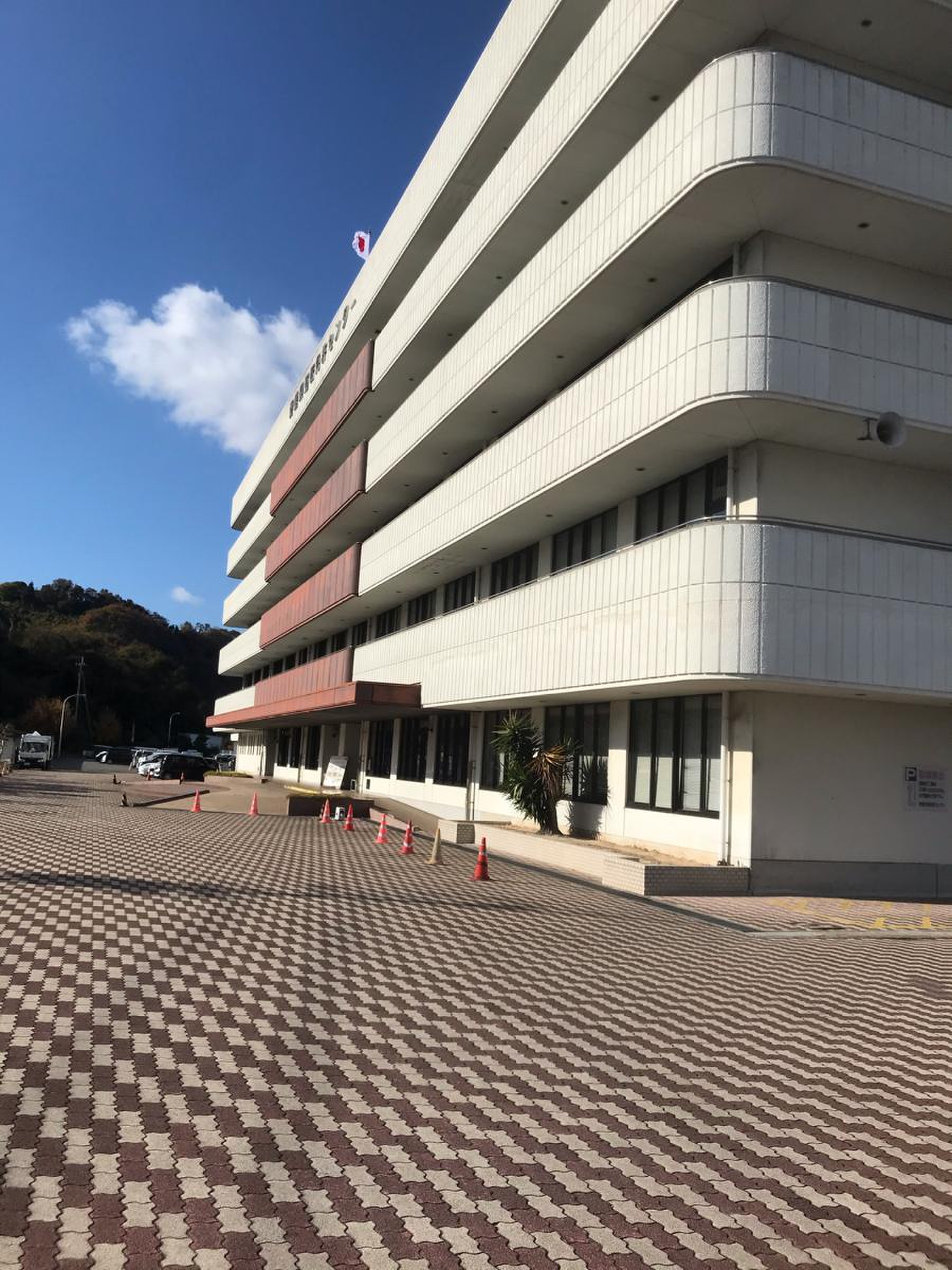 愛媛県運転免許センター日曜即日交付と混雑回避！2026最新手続き手順