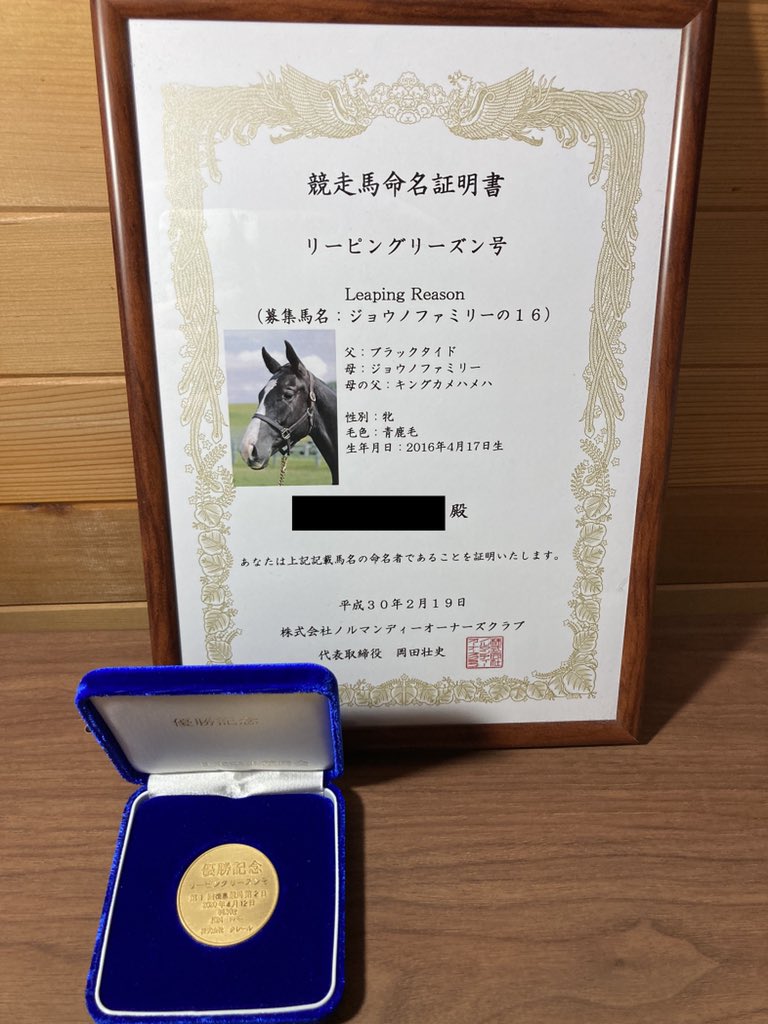 一口馬主掲示板の闇と本音｜荒れる理由と回収率の現実を徹底検証
