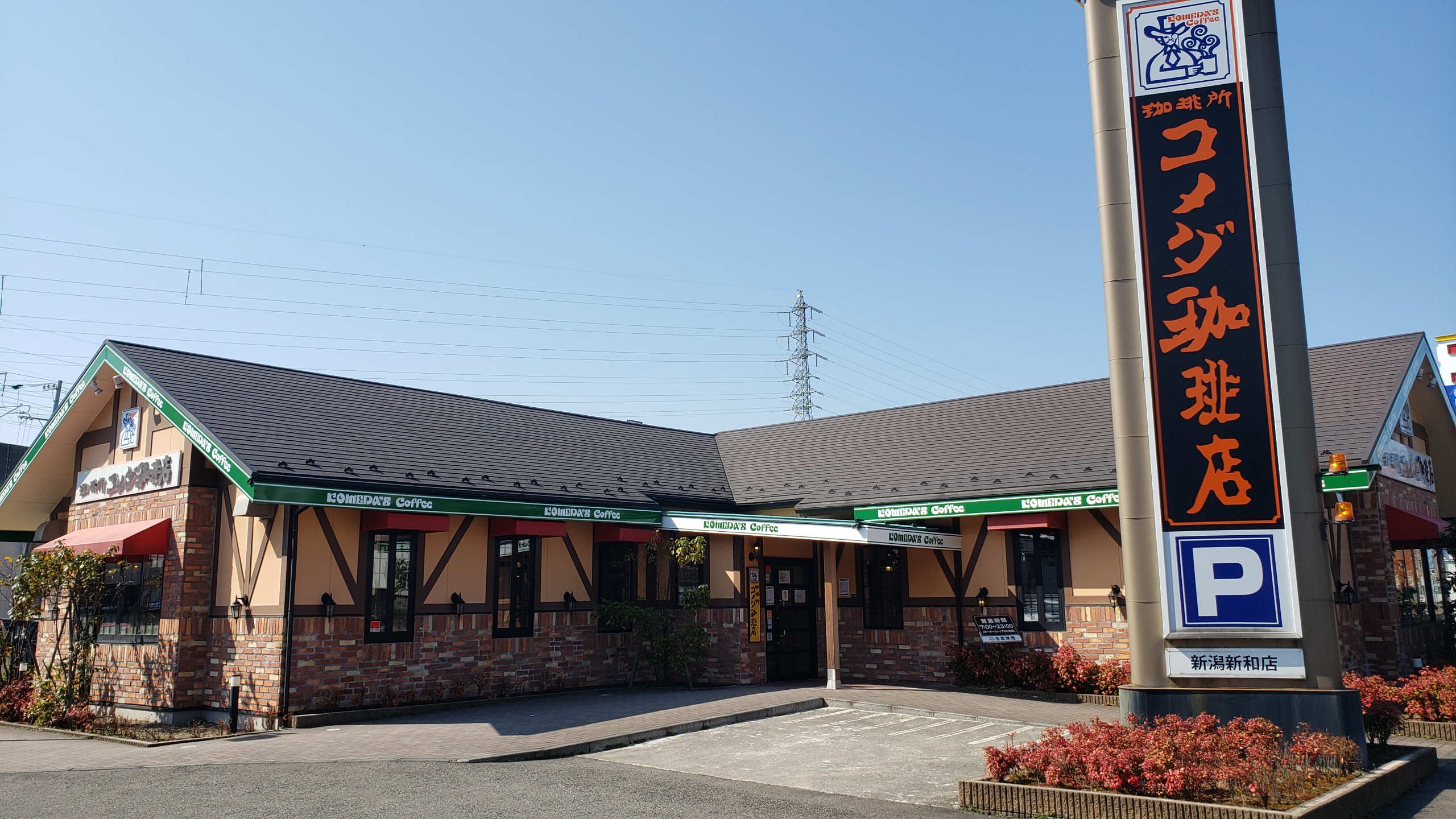 コメダ珈琲店新潟新和店の混雑回避術！電源・朝食・限定品を総力調査