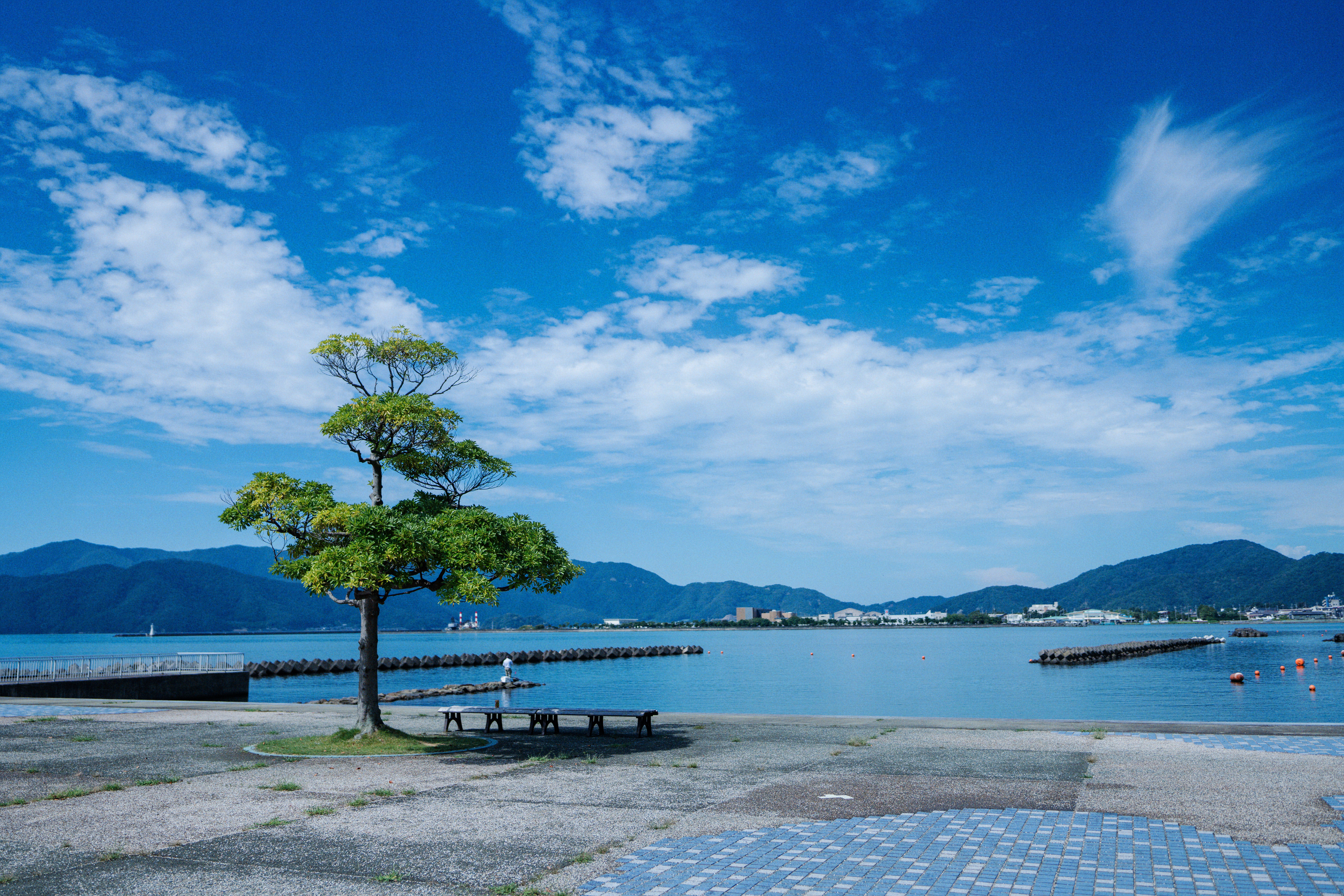 福井県小浜市が2026年に激変！新幹線延伸で何が起きるのか徹底解説