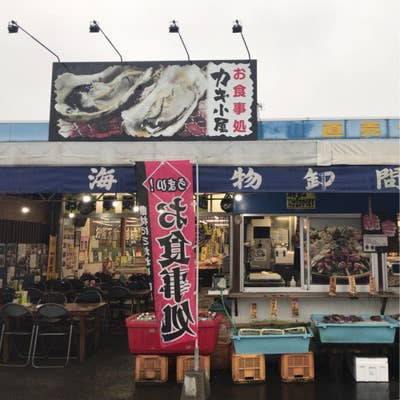 【まとめ】 カキ 小屋 飯岡 屋 水産 2026年最新メディア #932