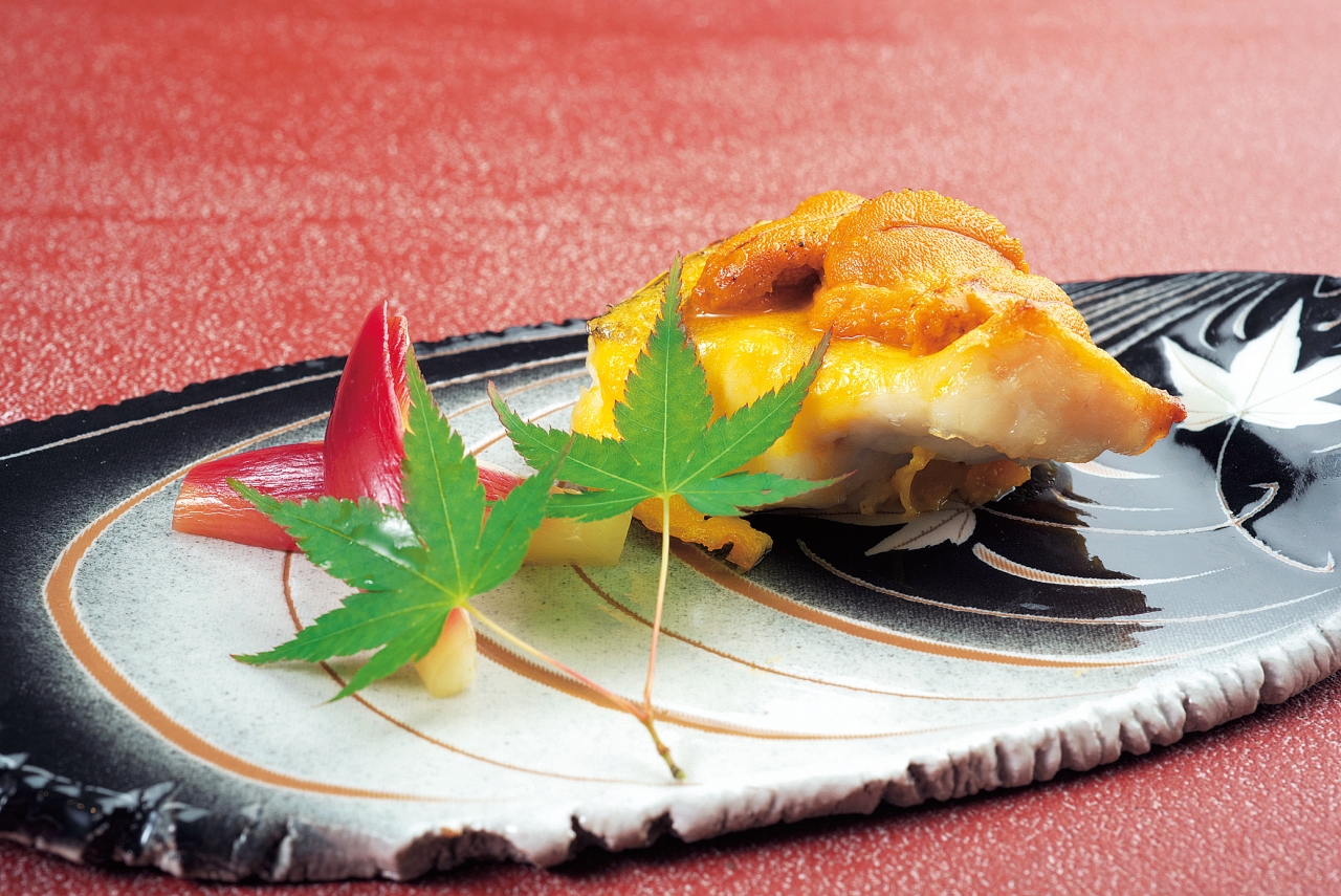 福岡白金「食堂ぎんみ」予約困難の秘密とコース実態を徹底解剖【2026最新】