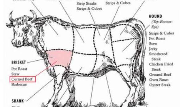 Where Does Corn Beef Come from on a Cow