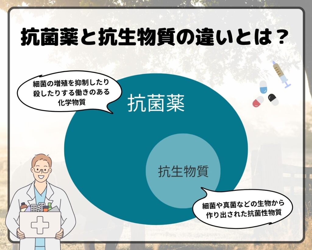 抗菌薬と抗生剤の決定的な違いとは？風邪に効かない真相と処方の新常識
