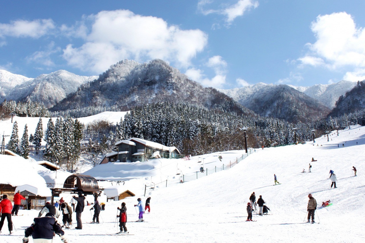 わかさ氷ノ山スキー場ライブカメラと積雪・路面状況の完全ガイド