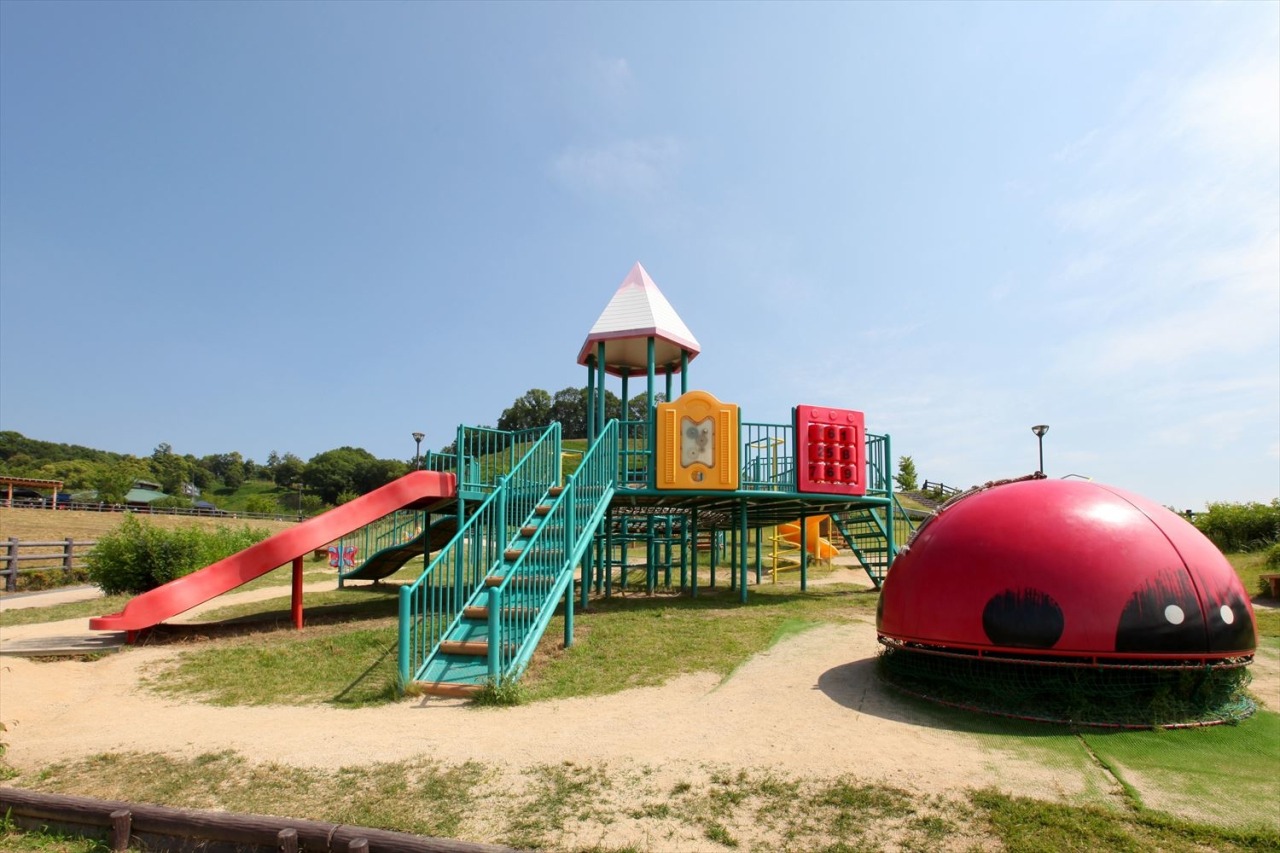 藤井風の聖地「つばきの丘運動公園」定時放送の真実と2026年最新ガイド