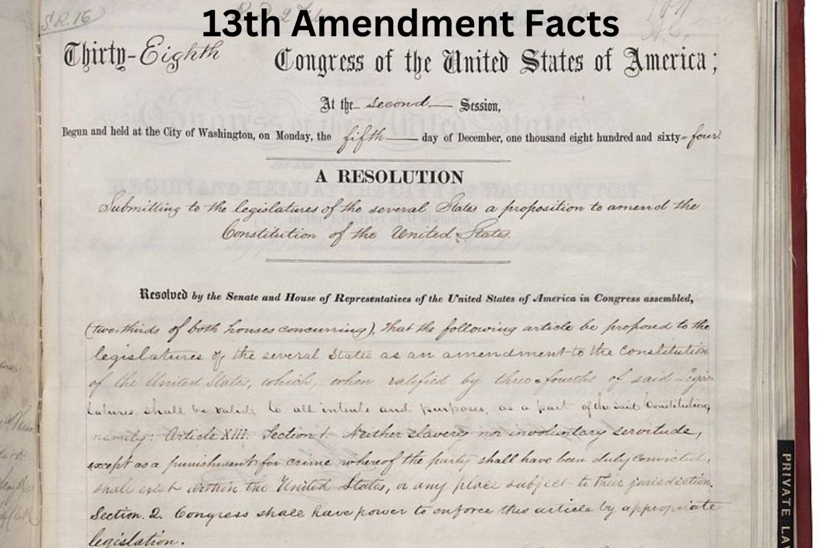 What Caused the 13Th Amendment