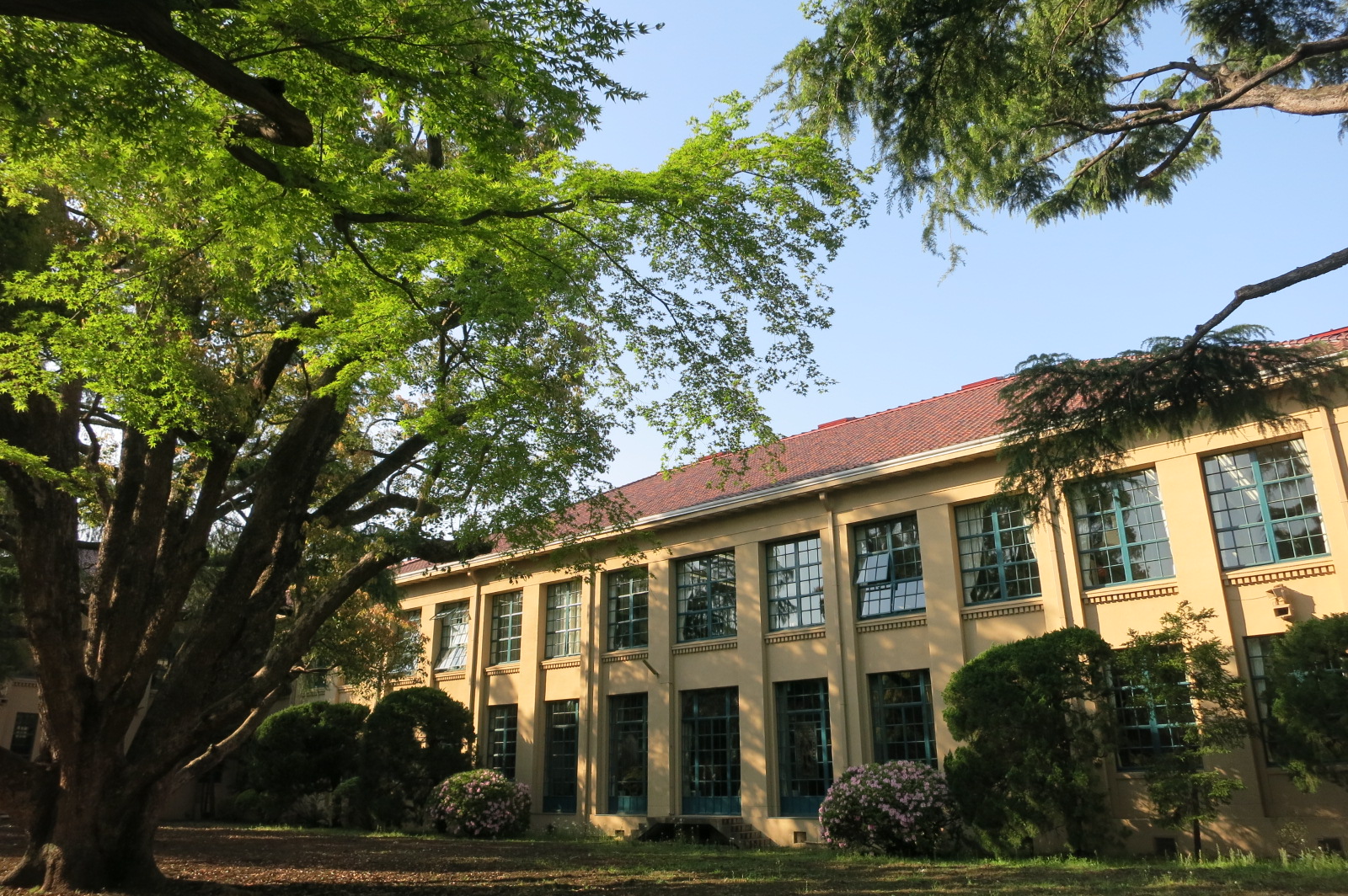 立教女学院の内部進学の実態とは？2026年最新の偏差値・学費・校風を徹底解説