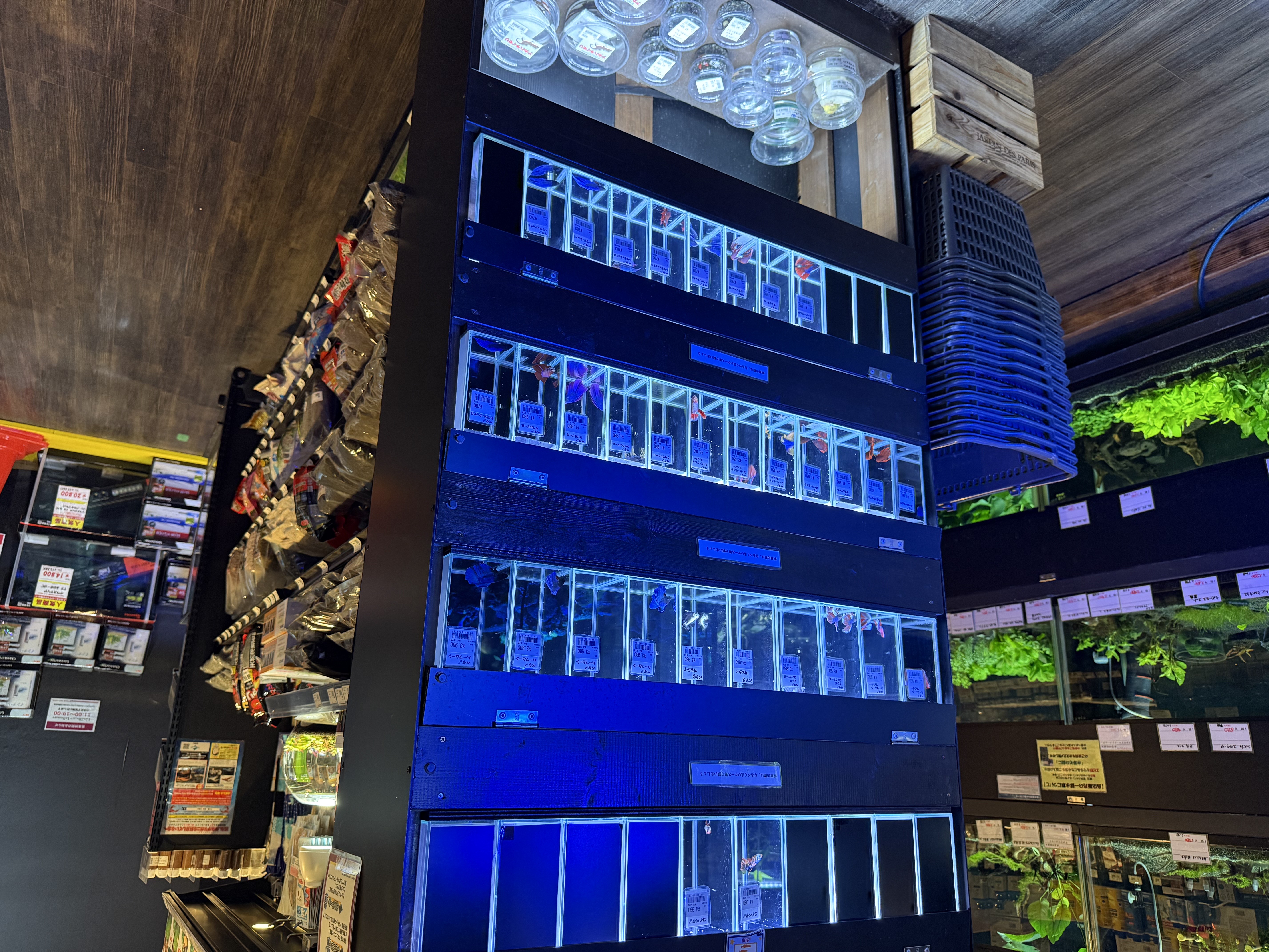 パウパウアクアガーデン新宿閉店の真相解明｜跡地と銀座店の今
