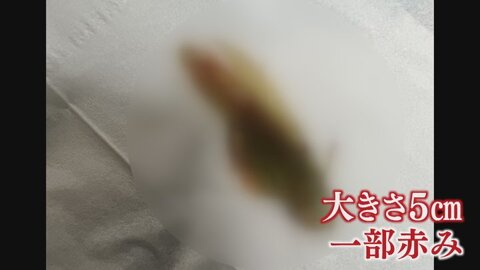 【徹底調査】 こく うま キムチ バッタ 混入 画像 気になる噂と真相 #726