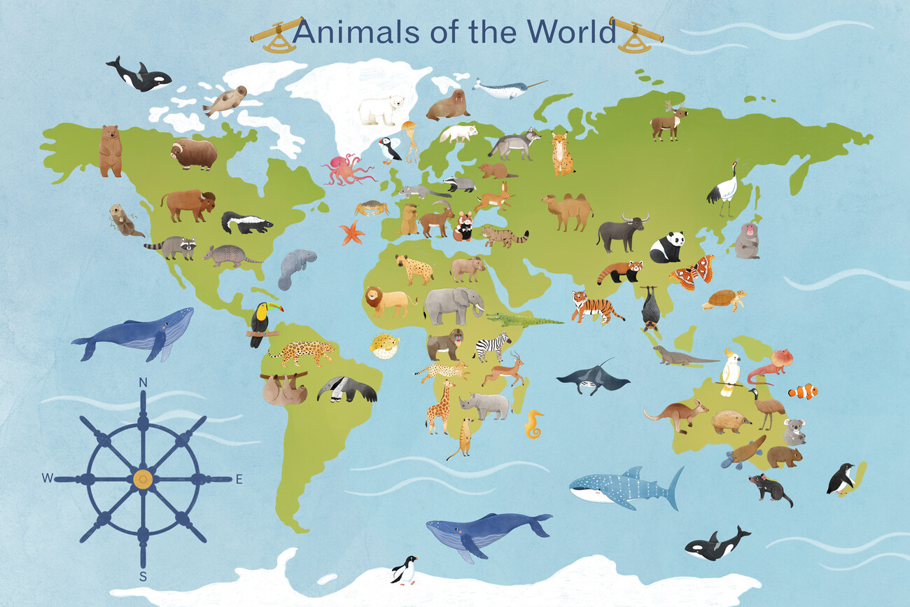 How Many Land Animals Are There in the World