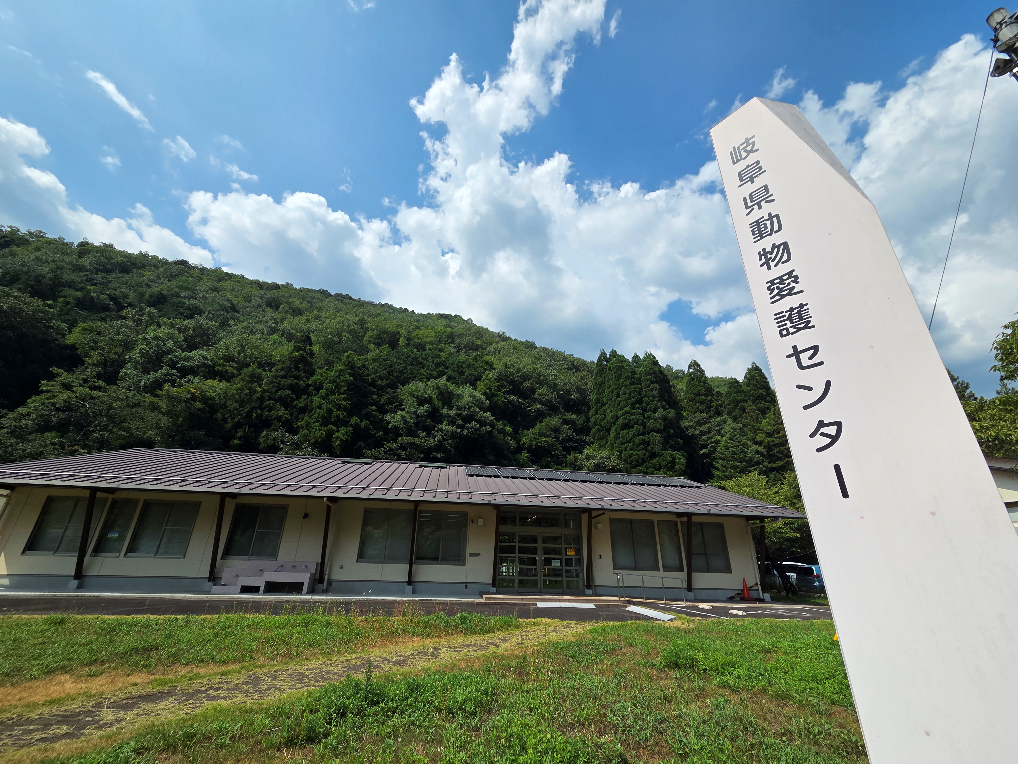 岐阜県愛護センターで犬猫の里親になる条件は？費用や審査の評判を徹底解説