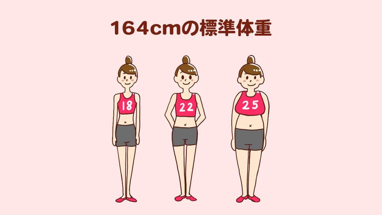 164Cm女性の理想体重と見た目の真相｜何キロが一番綺麗に見えるのか