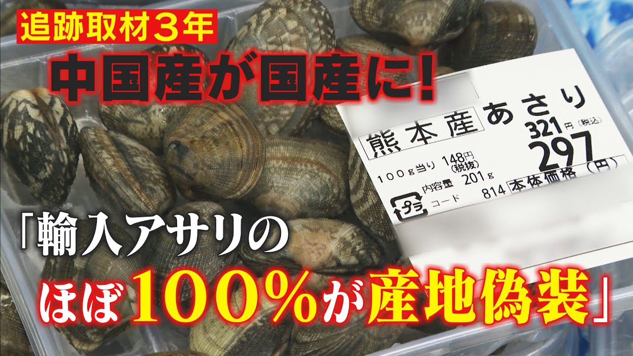 アサリ産地偽装の真相と2026年現在の実態｜熊本産の見分け方と対策