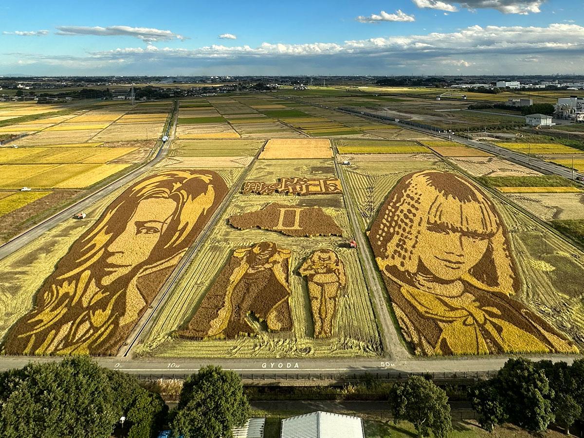 【2026最新】南陽の田んぼアート見頃はいつ？歴代デザインと見どころ徹底解説